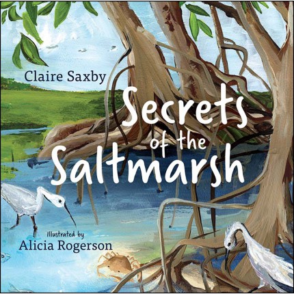 Secrets of the Saltmarsh