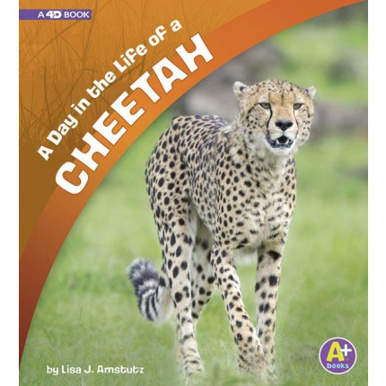 A Day in the Life - A Day in the Life of a Cheetah