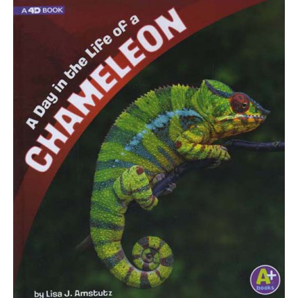 A Day in the Life - A Day in the Life of a Chameleon