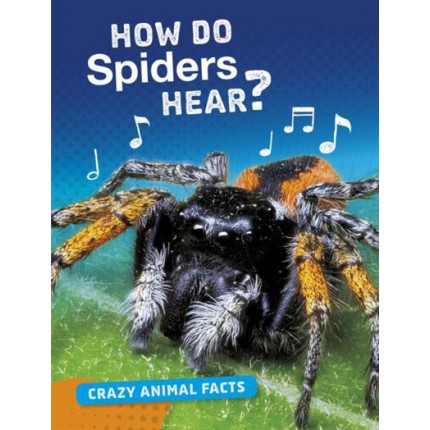 Crazy Animal Facts - How Do Spiders Hear?