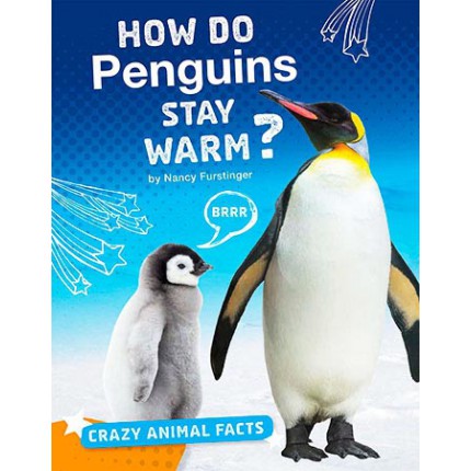 Crazy Animal Facts - How Do Penguins Stay Warm?