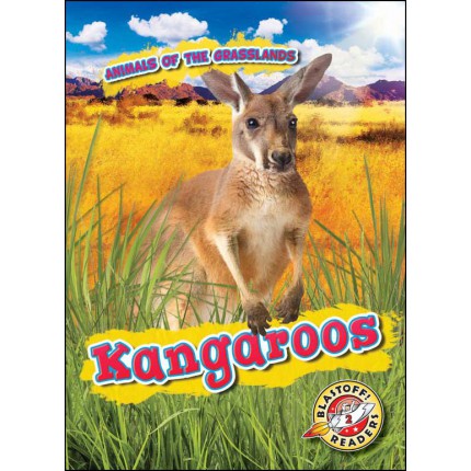 Animals of the Grasslands - Kangaroos