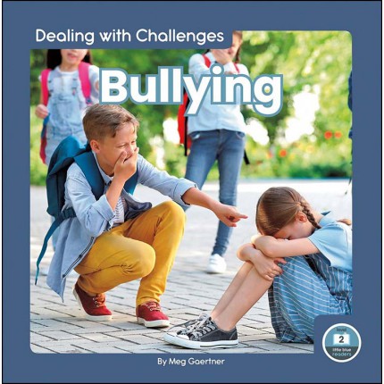 Dealing with Challenges - Bullying