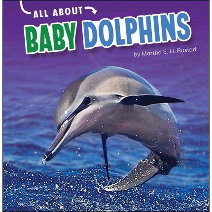 All About Baby Animals - Dolphins