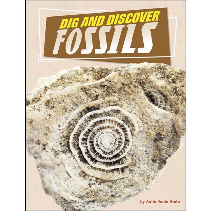 Rock Your World: Dig and Discover Fossils
