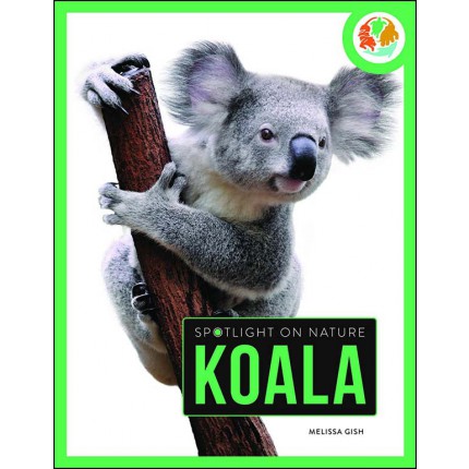 Spotlight on Nature - Koala