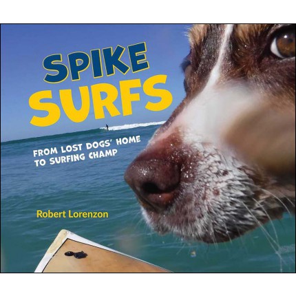 Spike Surfs