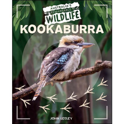 Australia's Remarkable Wildlife: Kookaburra