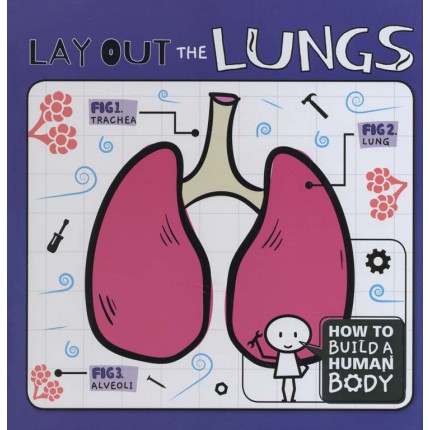 How To Build A Human Body - Lay Out the Lungs