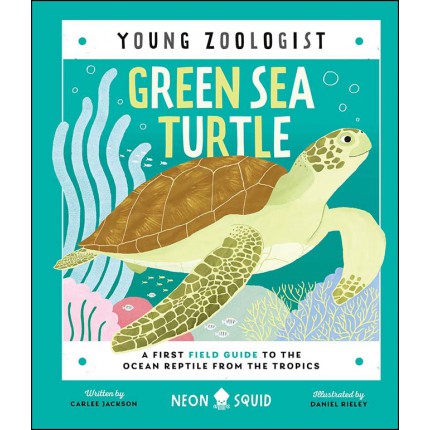 Young Zoologist - Green Sea Turtle