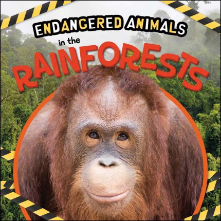 Endangered Animals - In the Rainforests