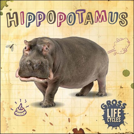 Gross Life Cycles - Hippopotamus