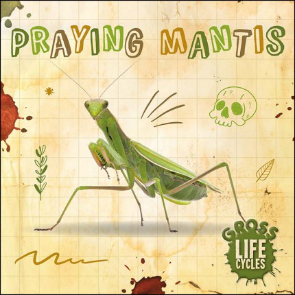 Gross Life Cycles - Praying Mantis