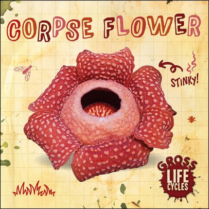 Gross Life Cycles - Corpse Flower