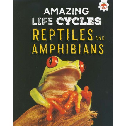 Amazing Life Cycles - Reptiles and Amphibians