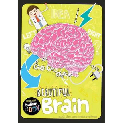 Journey Through the Human Body: Beautiful Brain
