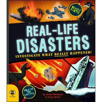 Real-Life Disasters - Investigate What Really Happened
