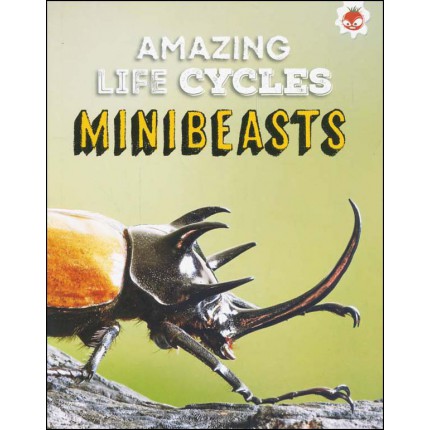 Amazing Life Cycles - Minibeasts