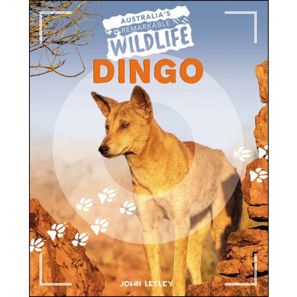 Australia's Remarkable Wildlife - Dingo