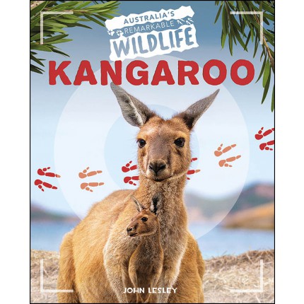 Australia's Remarkable Wildlife - Kangaroo