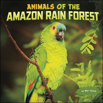 Wild Biomes - Animals of the Amazon Rain Forest