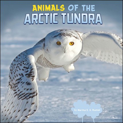 Wild Biomes - Animals of the Arctic Tundra